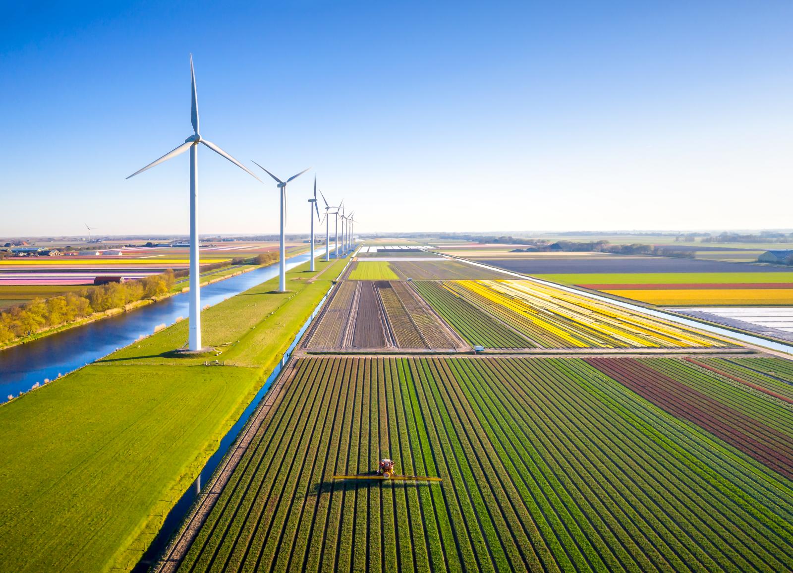 Wind farm on an agricultural field