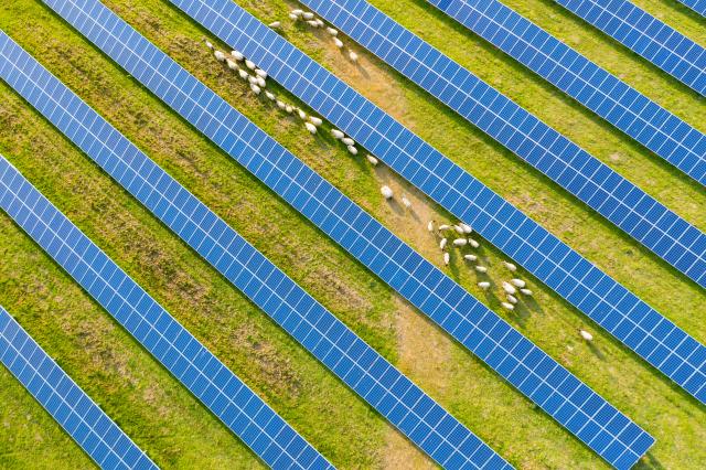 Solar solutions | BREG